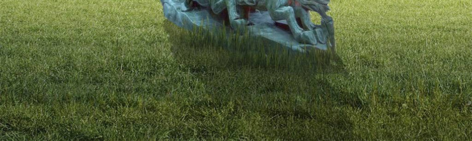 preview-detail