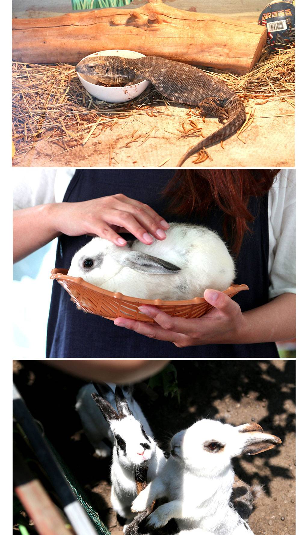 상품 상세 이미지 5