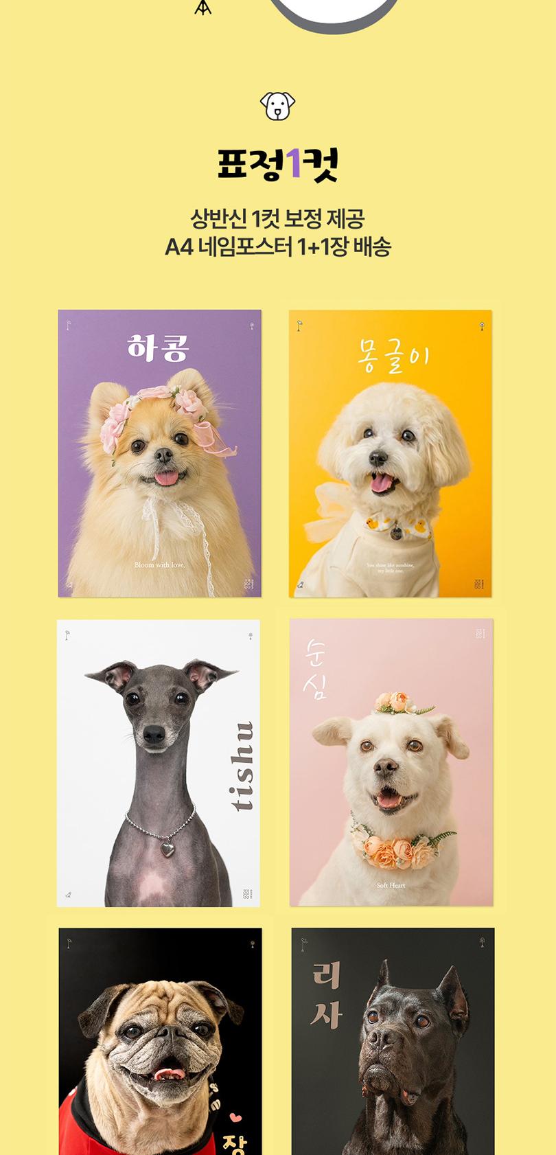 상품 상세 이미지 11