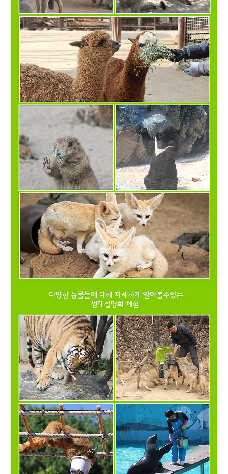 상품 상세 이미지 8