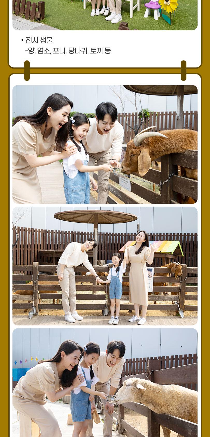 상품 상세 이미지 15