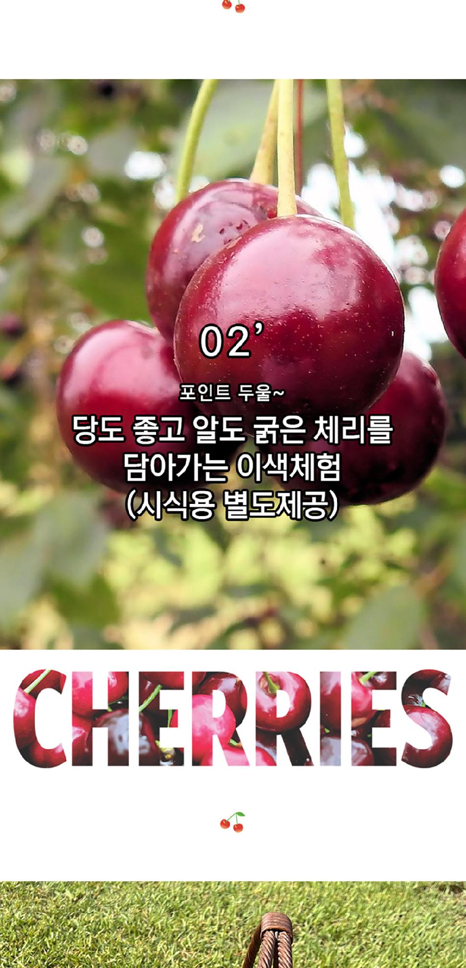 상품 상세 이미지 4