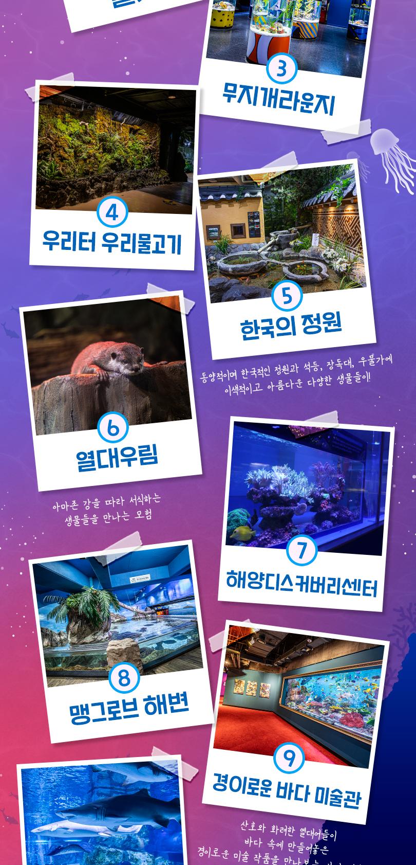 상품 상세 이미지 8