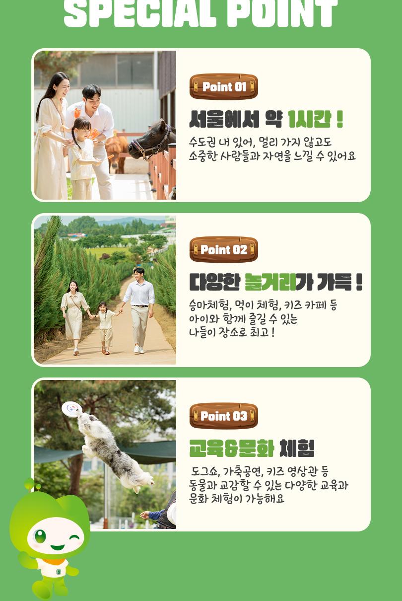 상품 상세 이미지 8