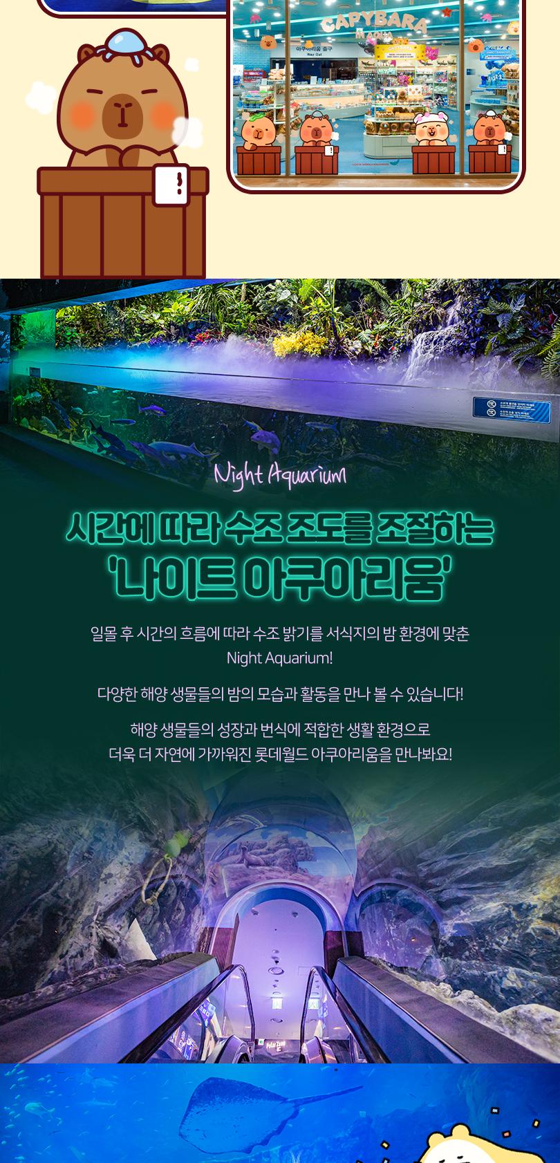 롯데월드 아쿠아리움&서울스카이 입장권