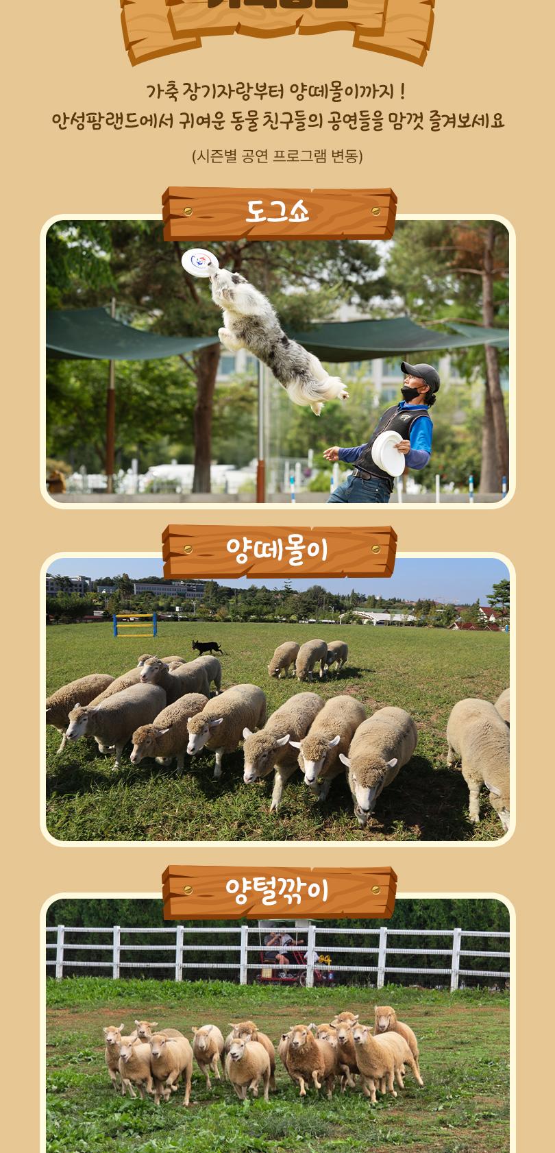 상품 상세 이미지 14