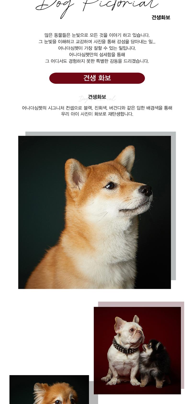 상품 상세 이미지 3