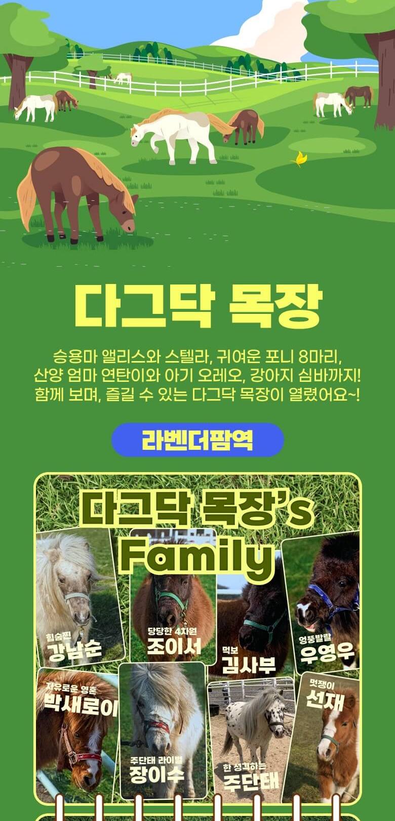 상품 상세 이미지 10