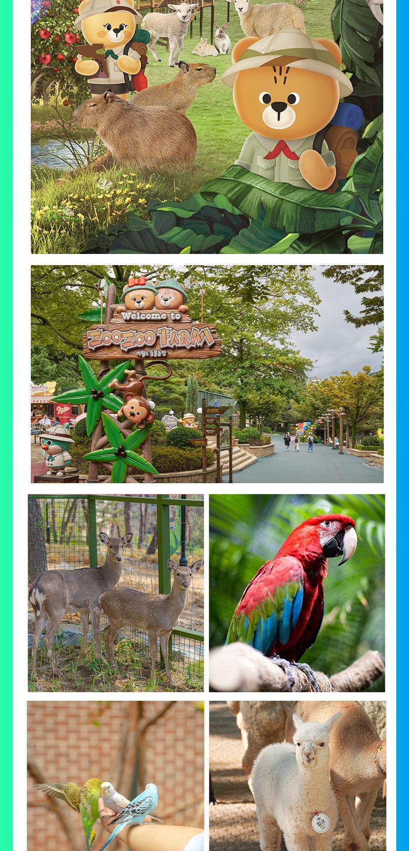 상품 상세 이미지 15