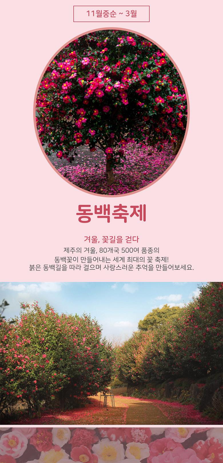 상품 상세 이미지 6