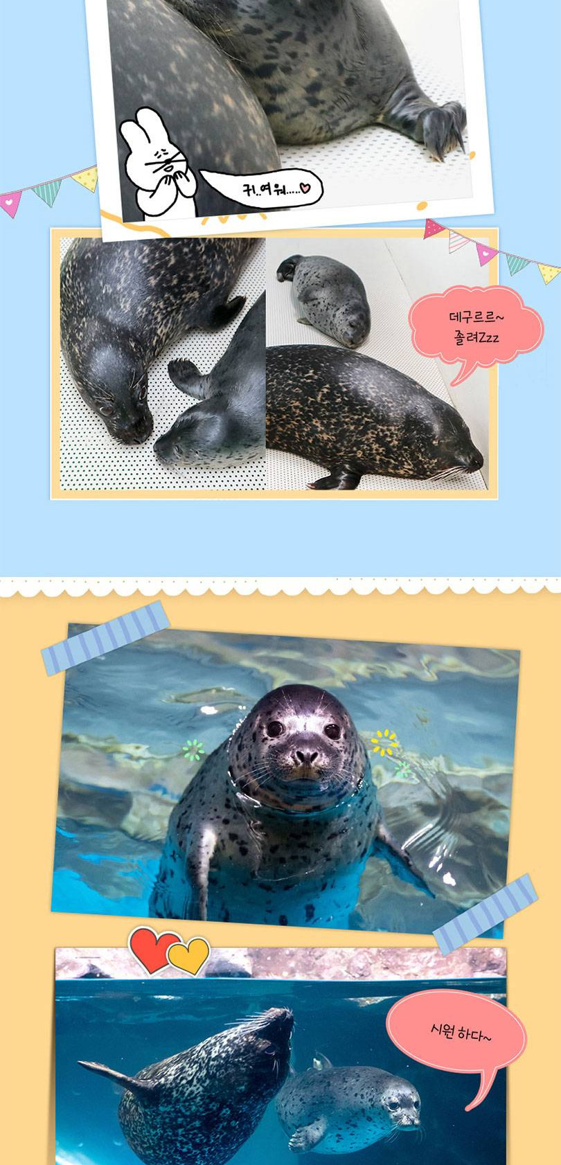 상품 상세 이미지 4