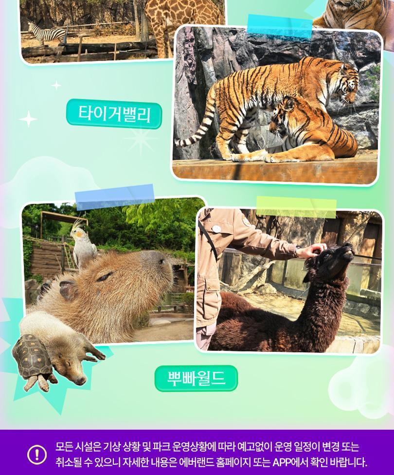 상품 상세 이미지 14