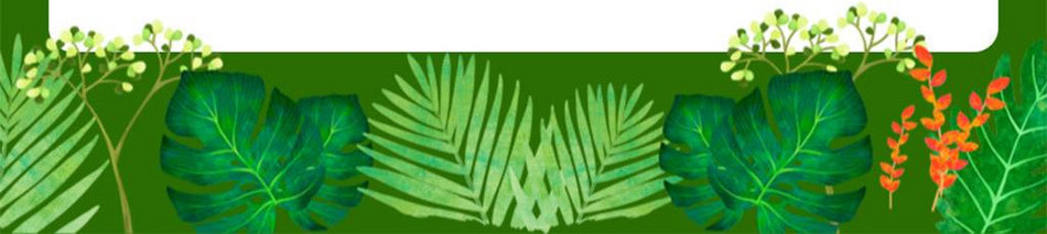 preview-detail