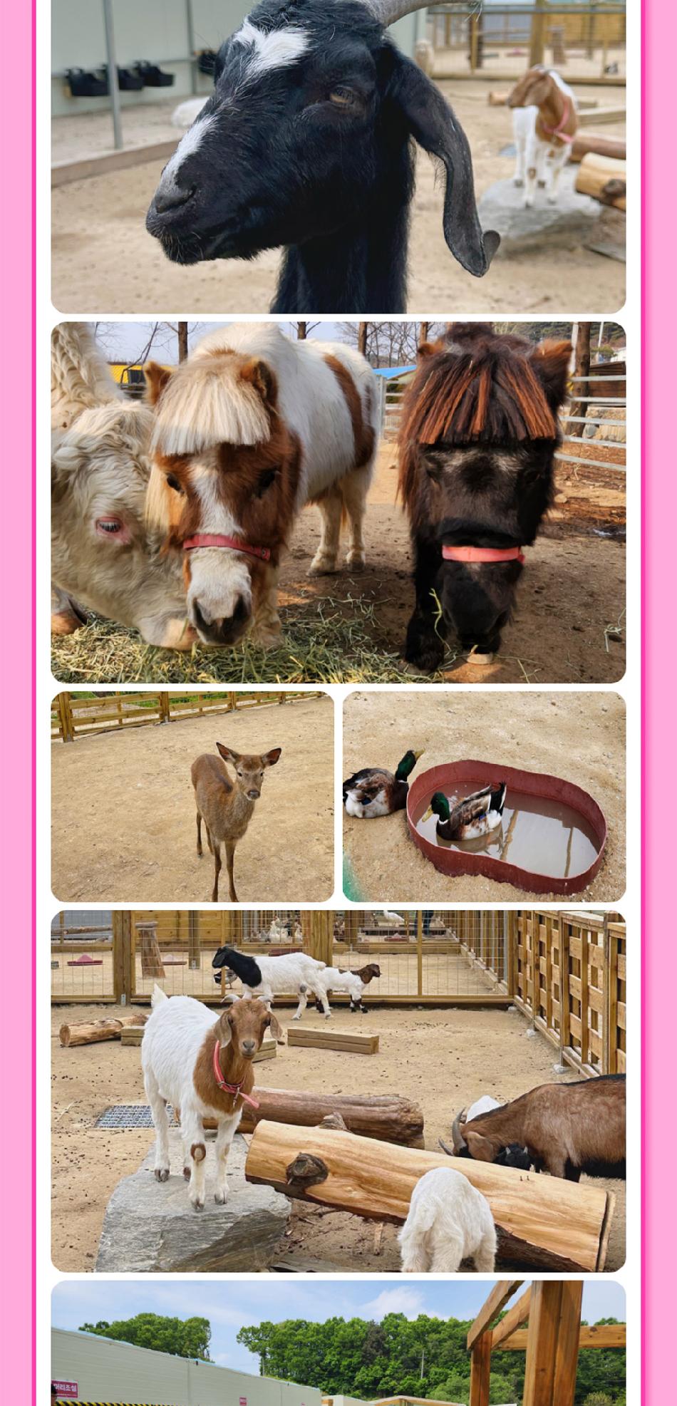 상품 상세 이미지 12