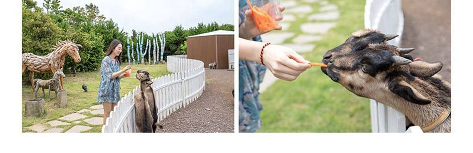 상품 상세 이미지 10