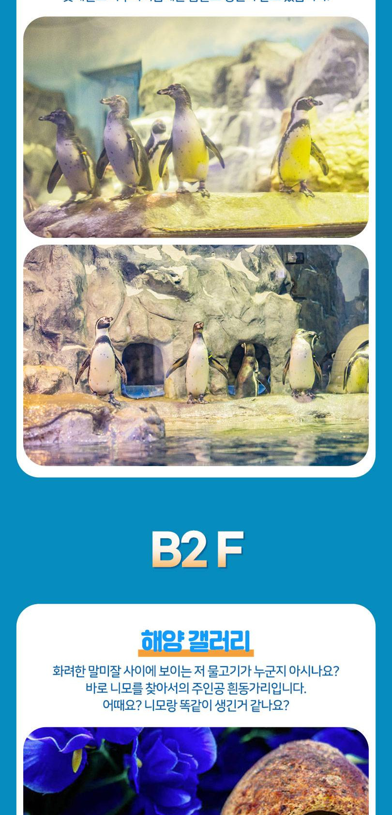 상품 상세 이미지 12