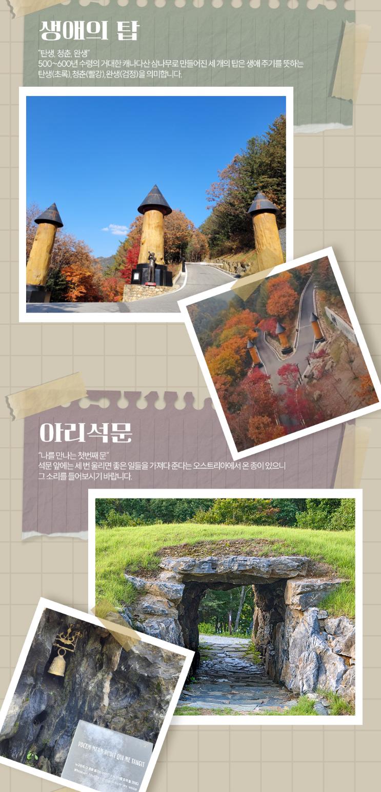 상품 상세 이미지 5