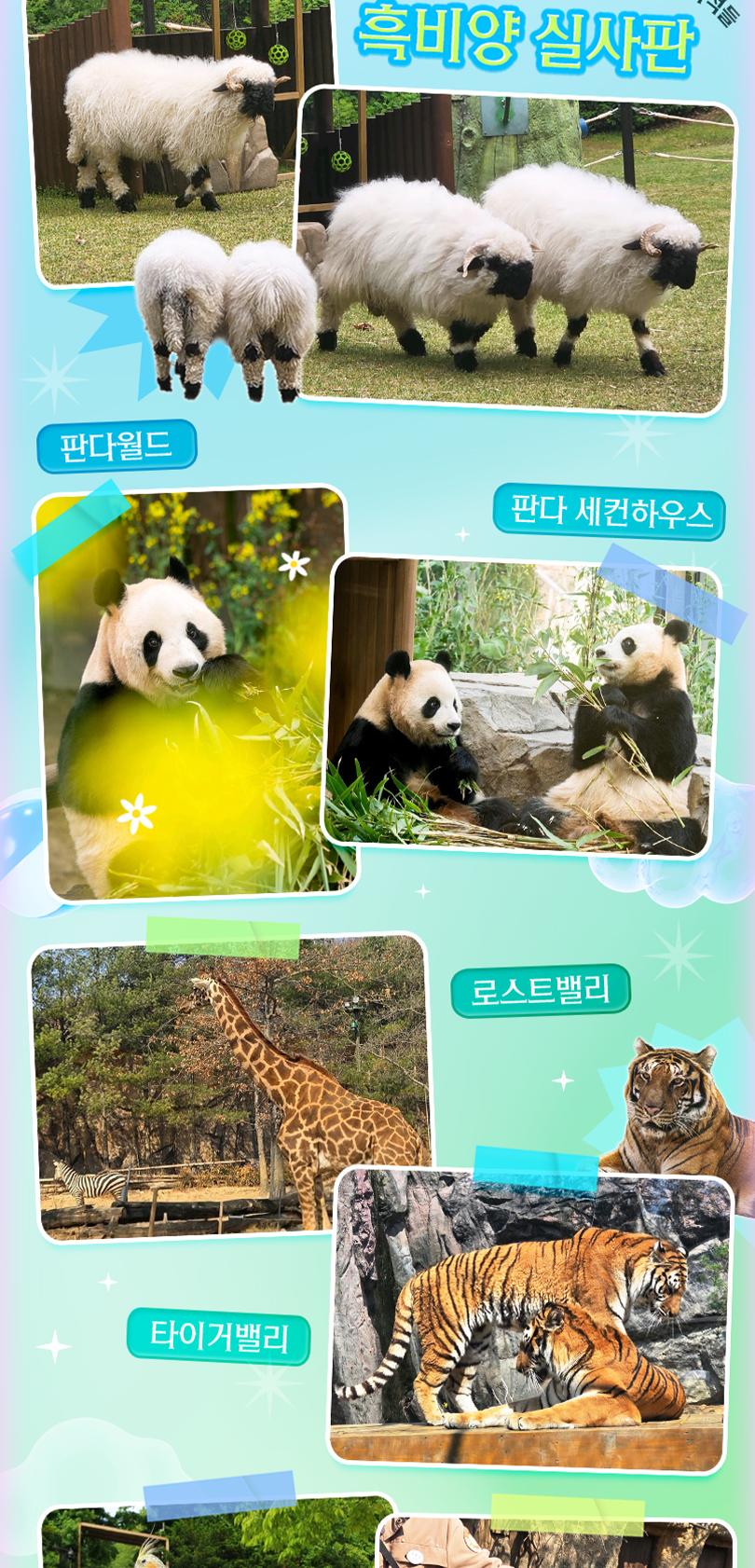 상품 상세 이미지 18