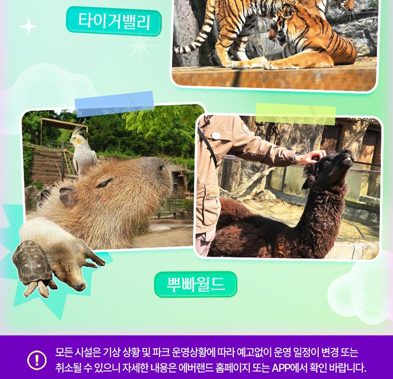 상품 상세 이미지 17