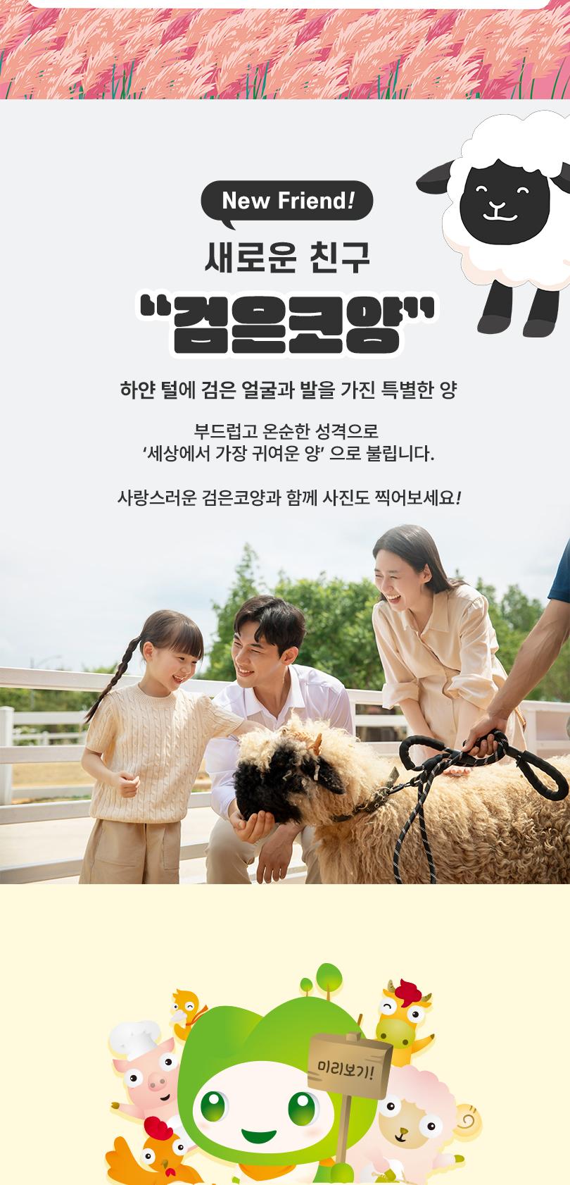 안성팜랜드 입장권 + 승마 패키지