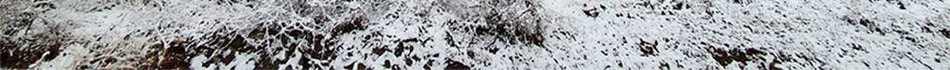 preview-detail