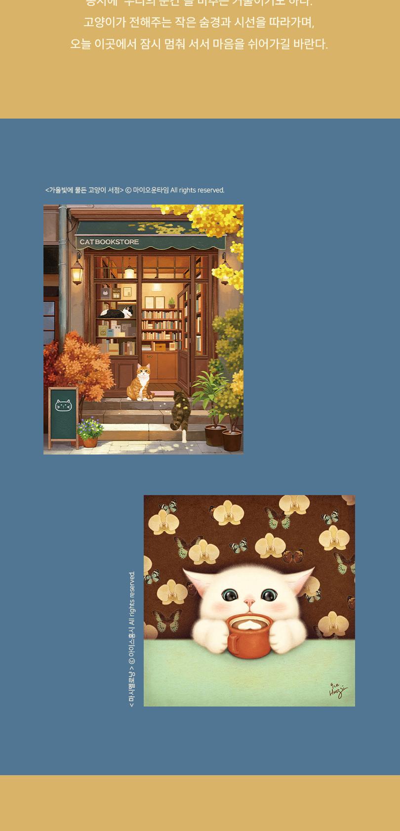 preview-detail