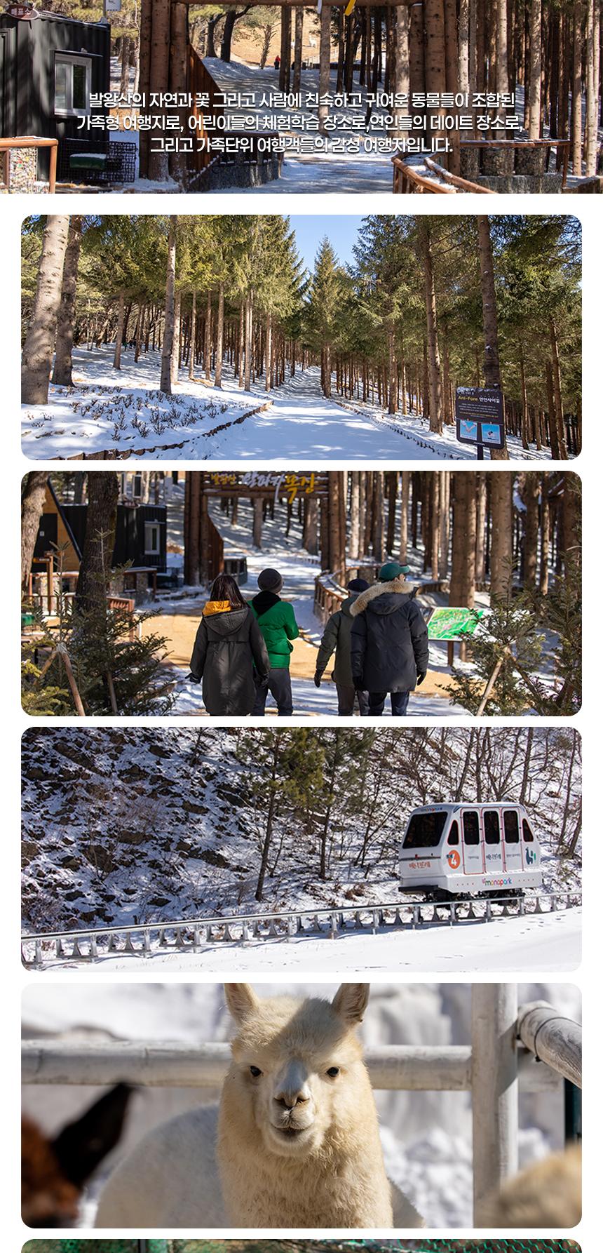 모나용평 애니포레 동계시즌 입장권 (11/1~12/31)