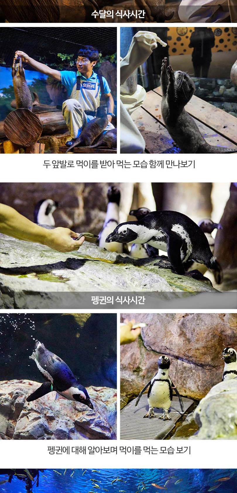 상품 상세 이미지 12