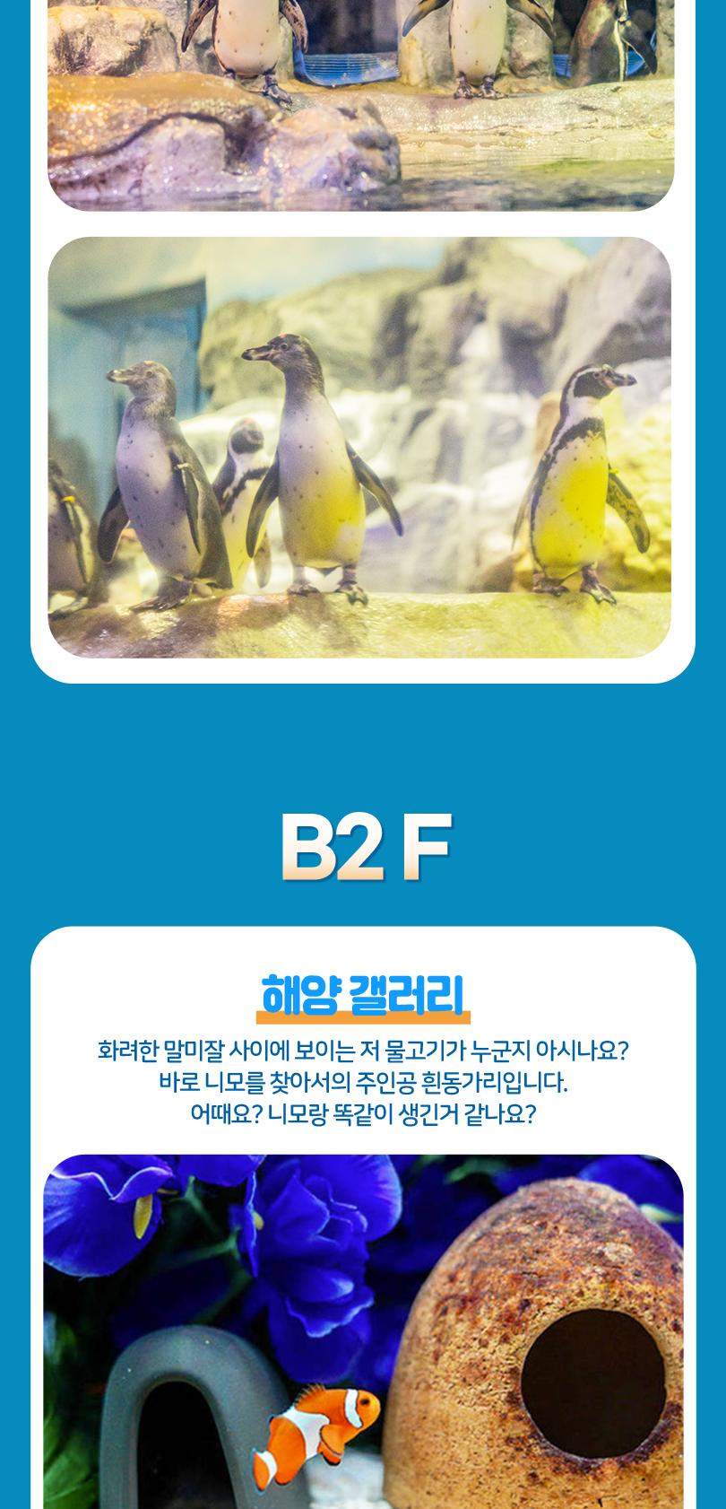 상품 상세 이미지 18