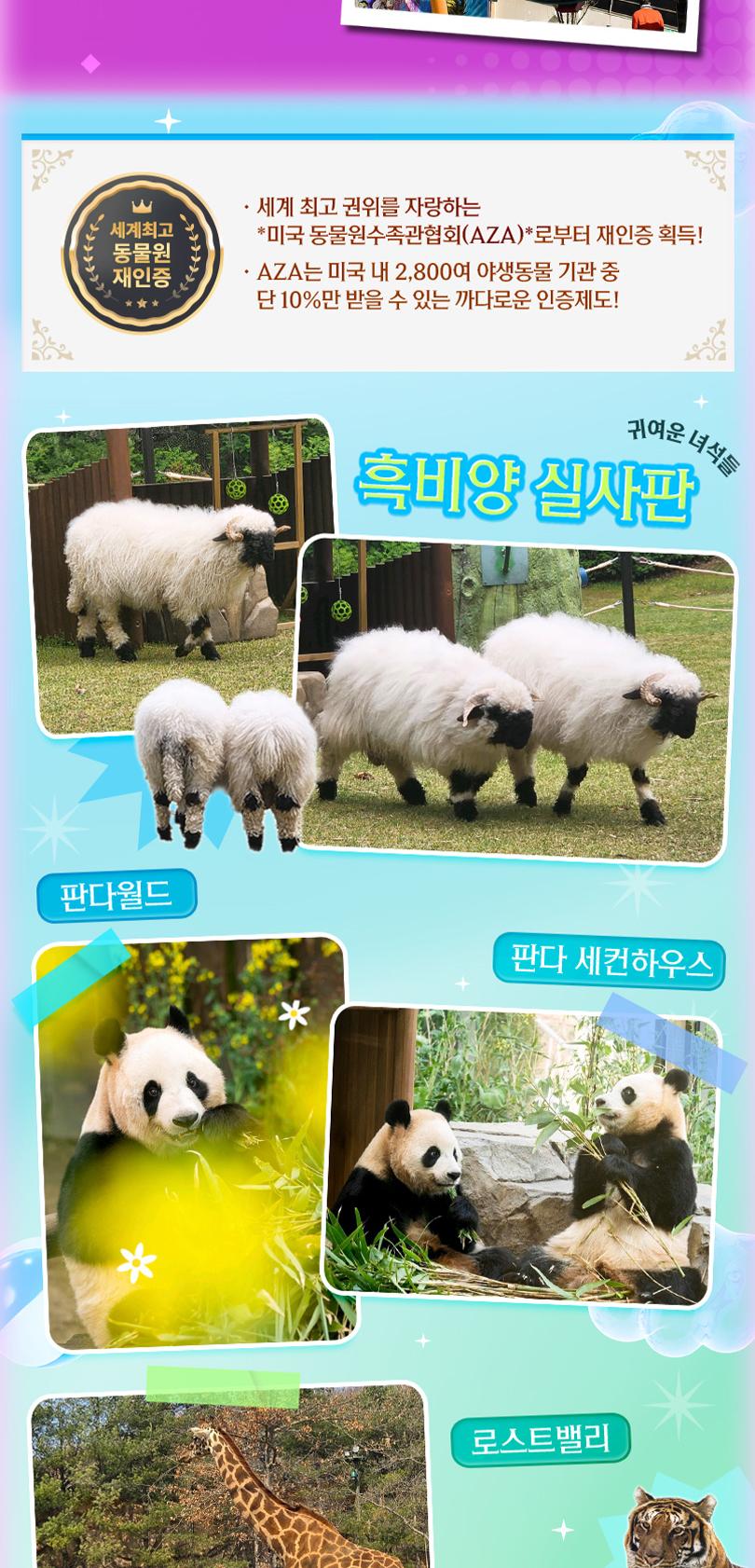 상품 상세 이미지 13