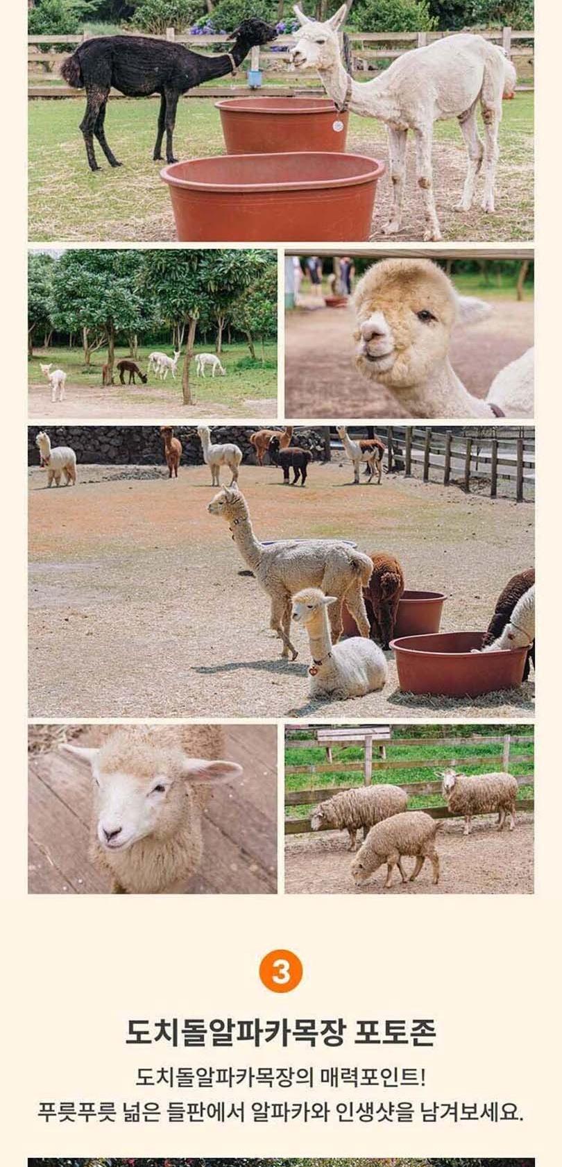 상품 상세 이미지 4