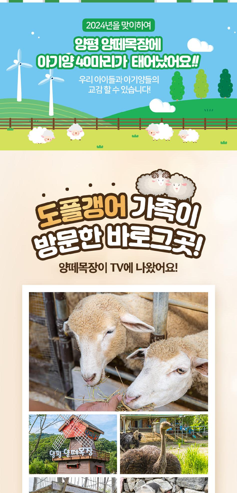 경기 양평 양떼목장 입장권