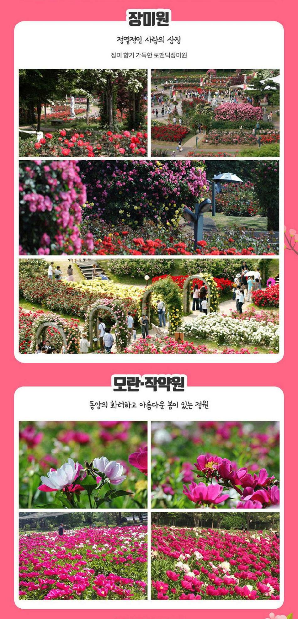 상품 상세 이미지 8