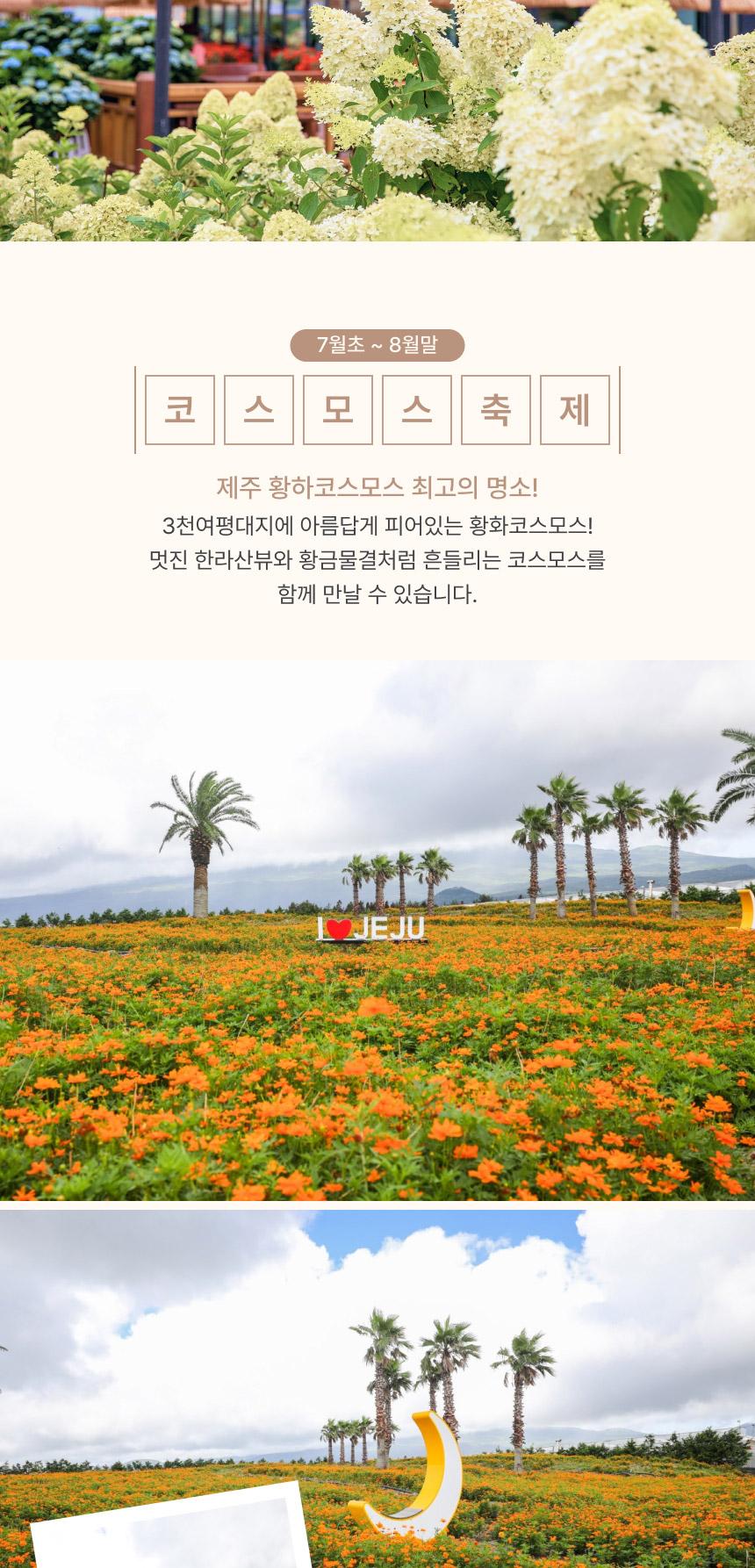 상품 상세 이미지 9