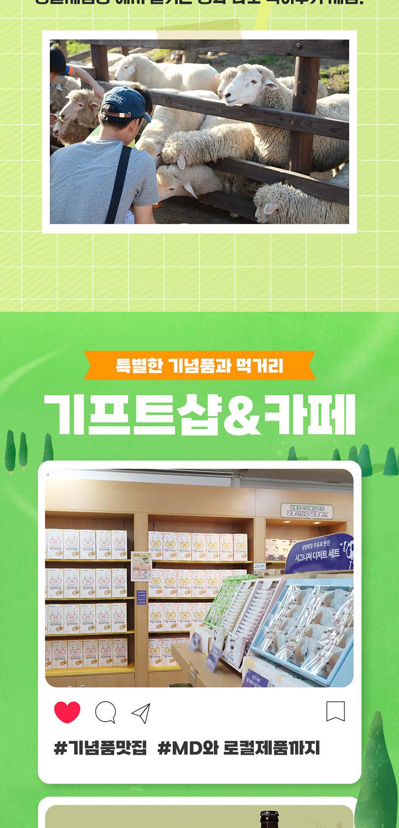 상품 상세 이미지 8