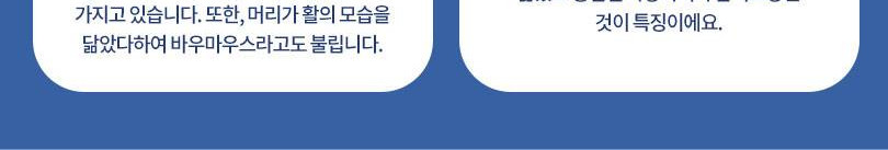 상품 상세 이미지 6