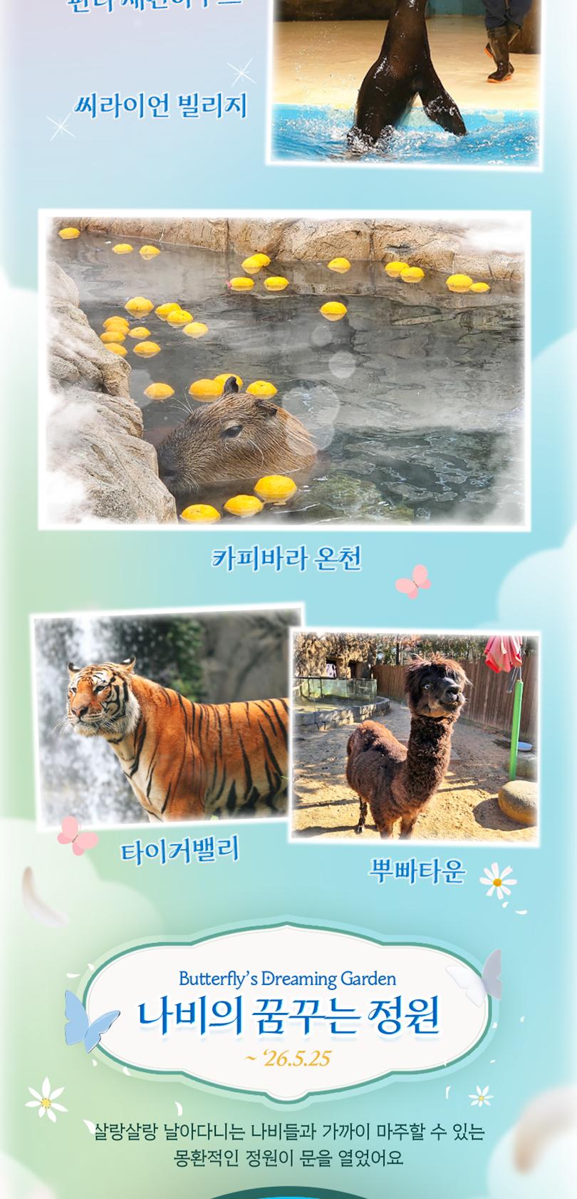 상품 상세 이미지 12