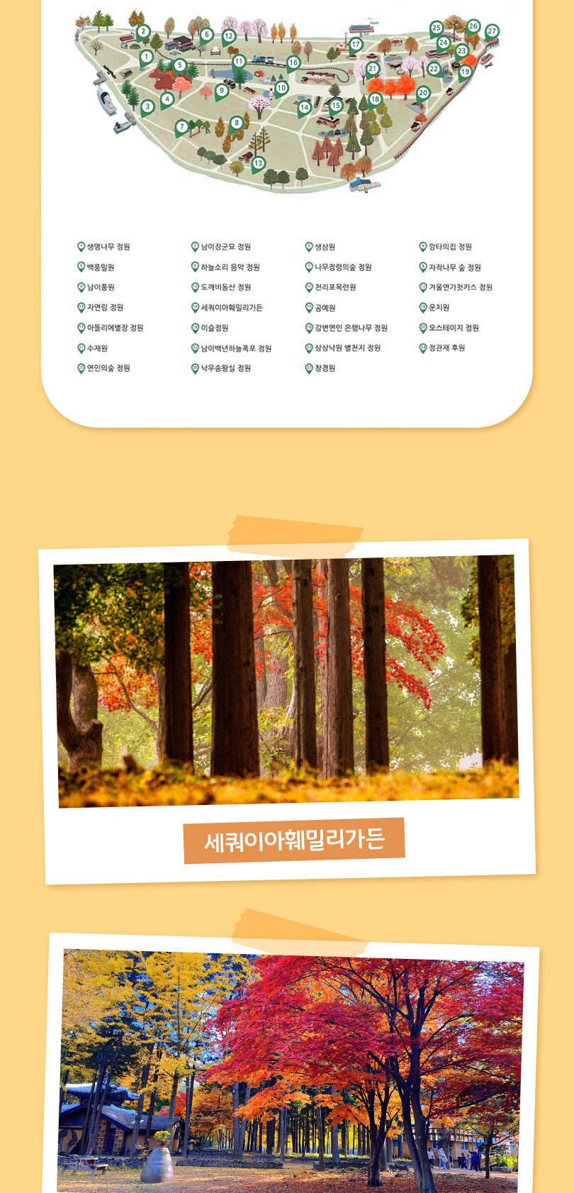 남이섬 입장권