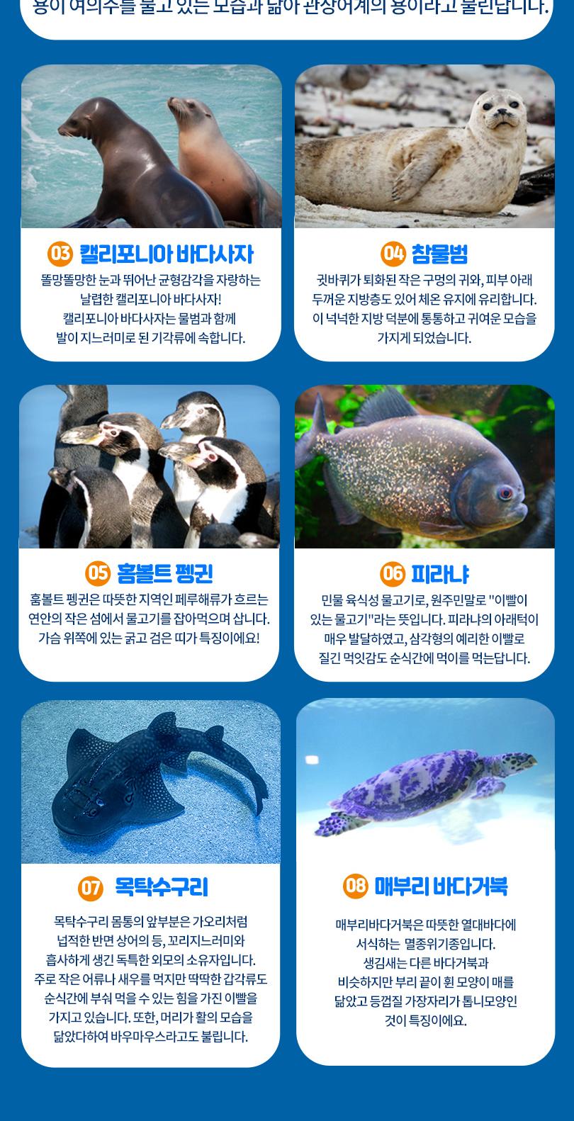 상품 상세 이미지 9