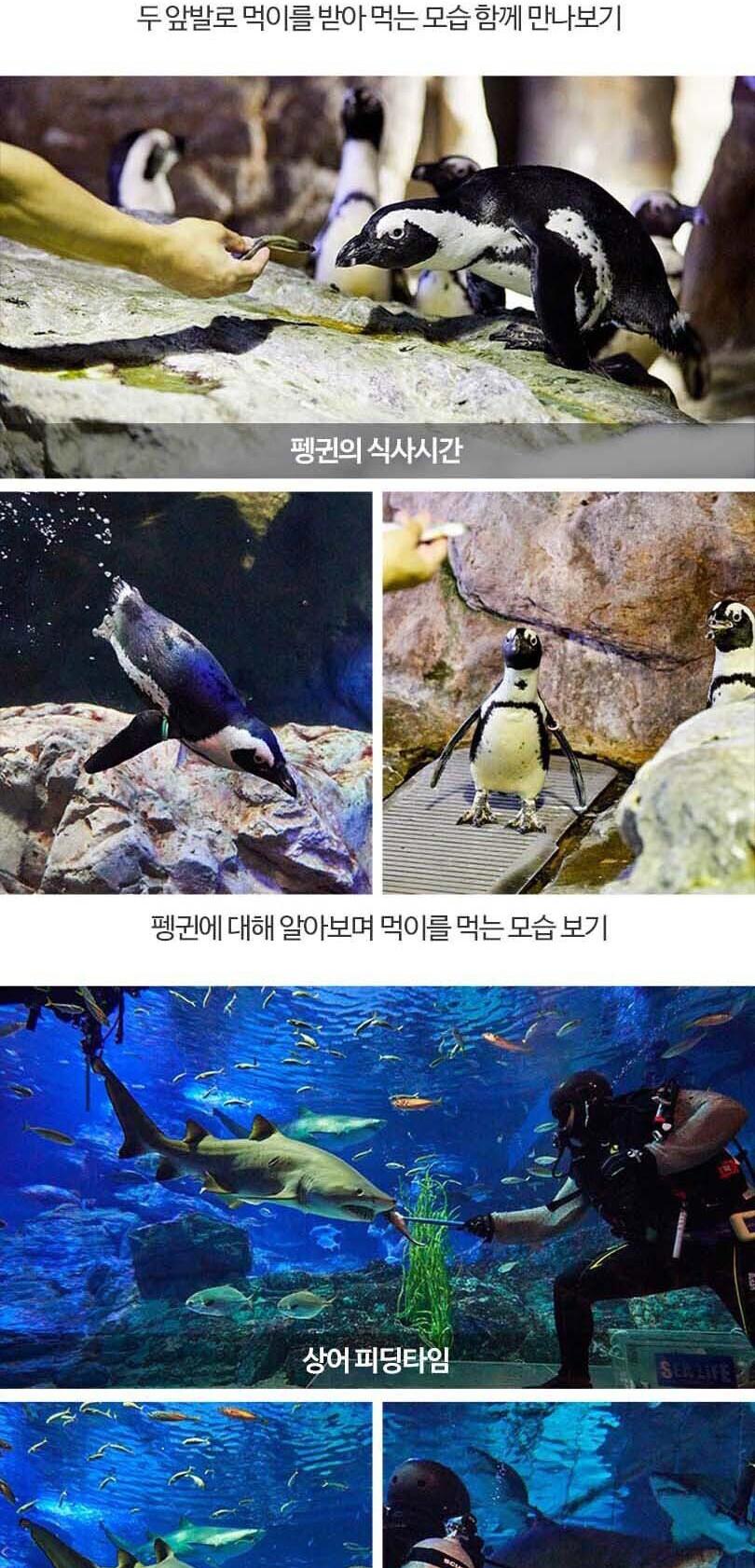 상품 상세 이미지 12