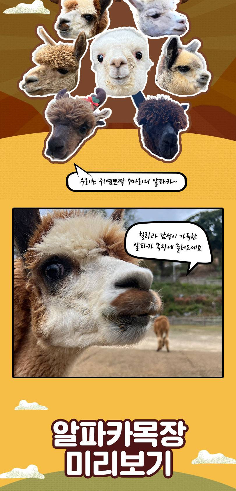 상품 상세 이미지 8