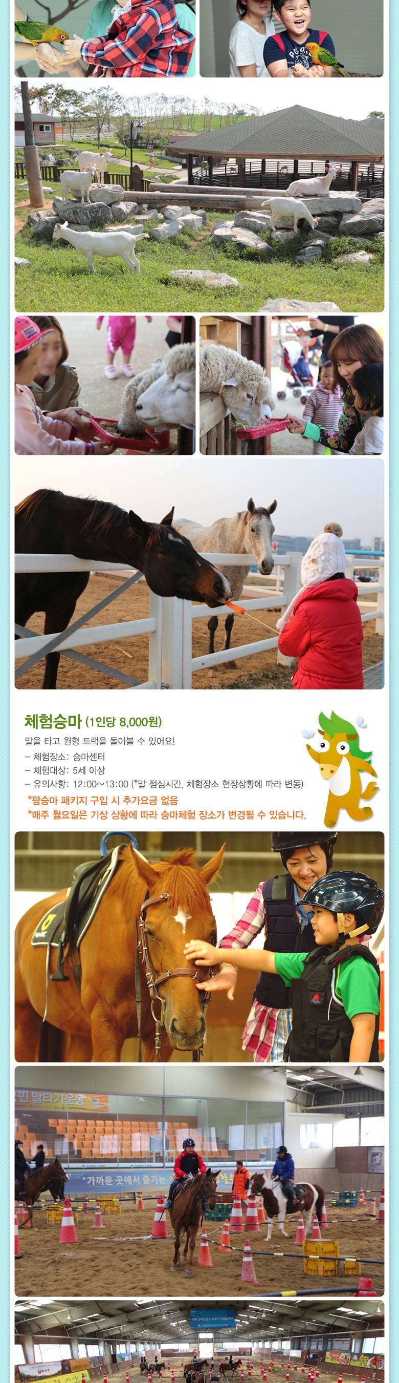 상품 상세 이미지 5