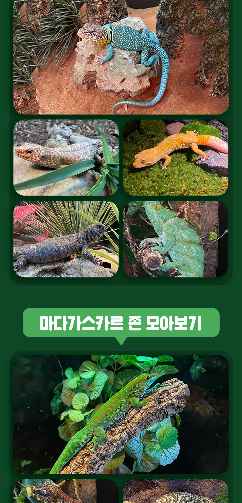 상품 상세 이미지 13