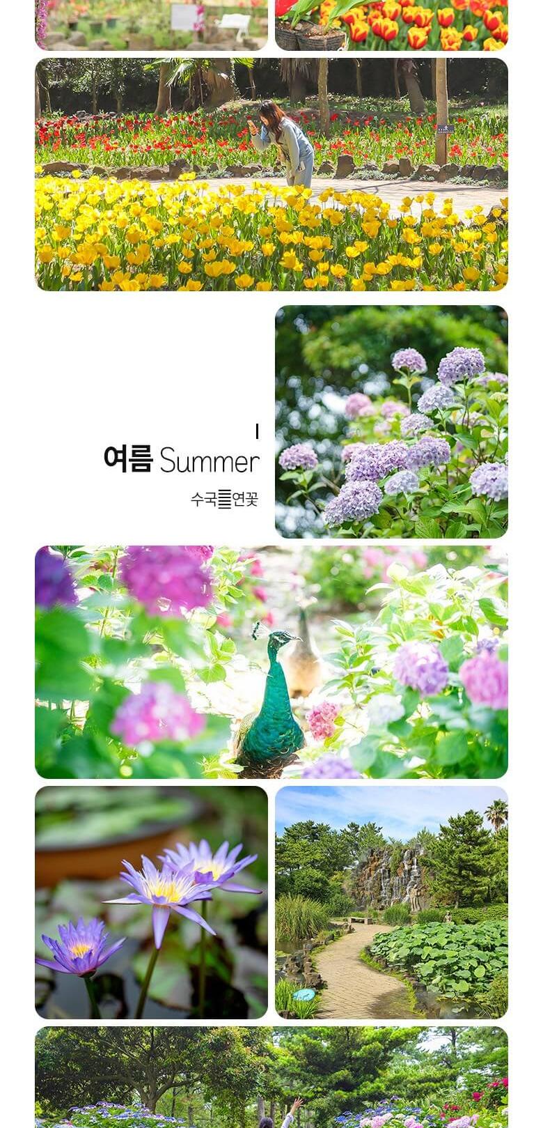 상품 상세 이미지 5