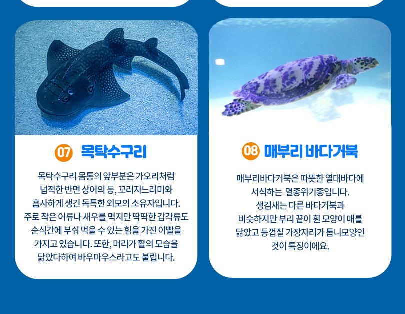 상품 상세 이미지 9