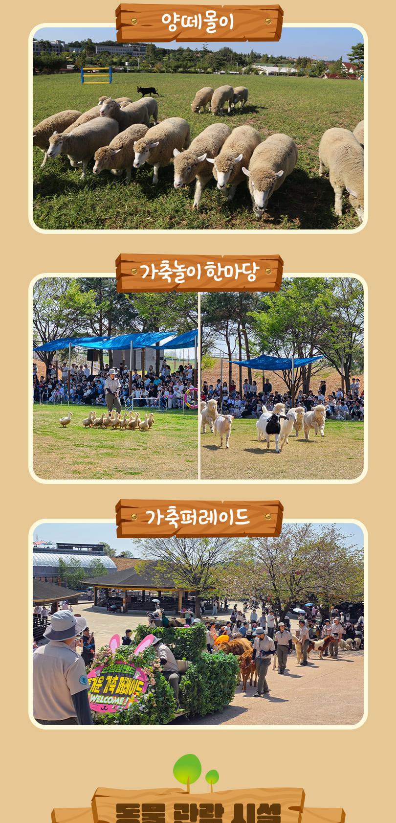 상품 상세 이미지 12