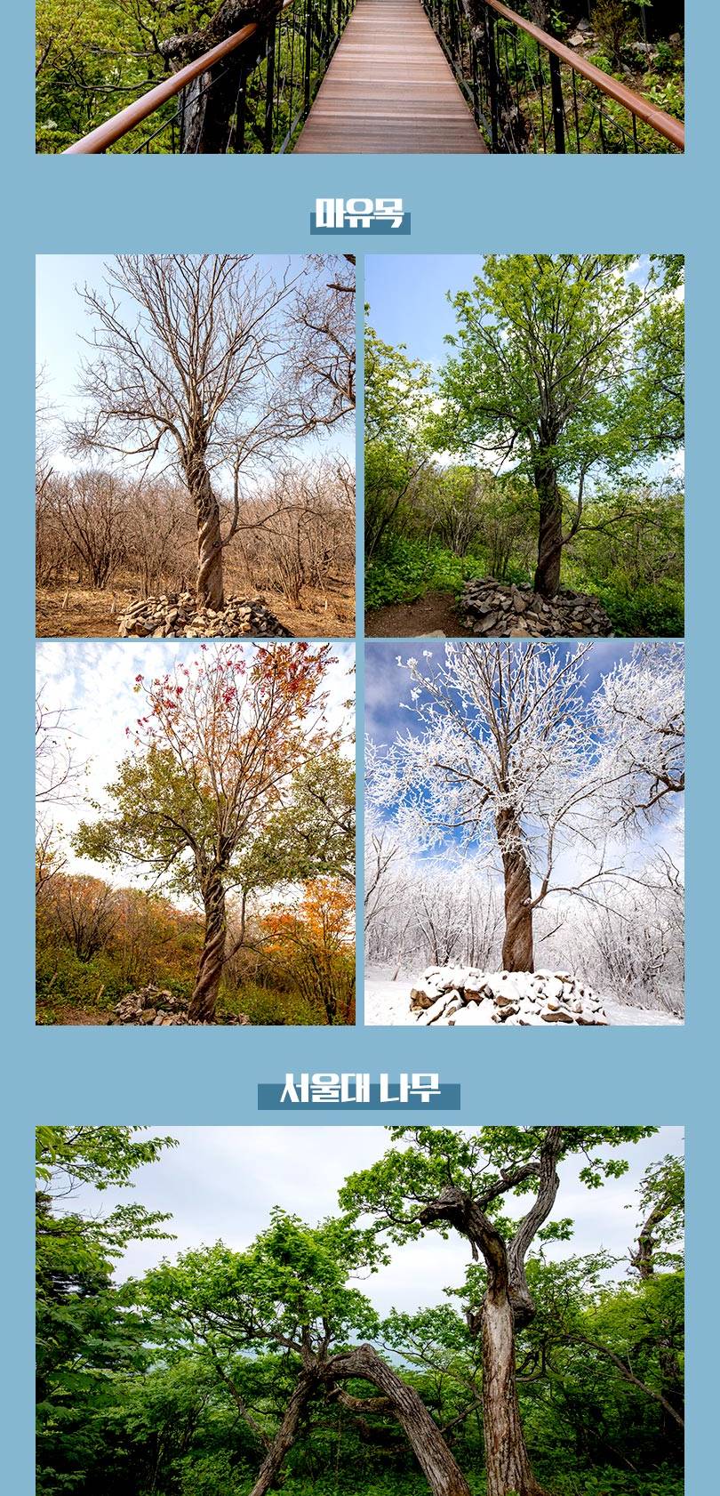 상품 상세 이미지 5