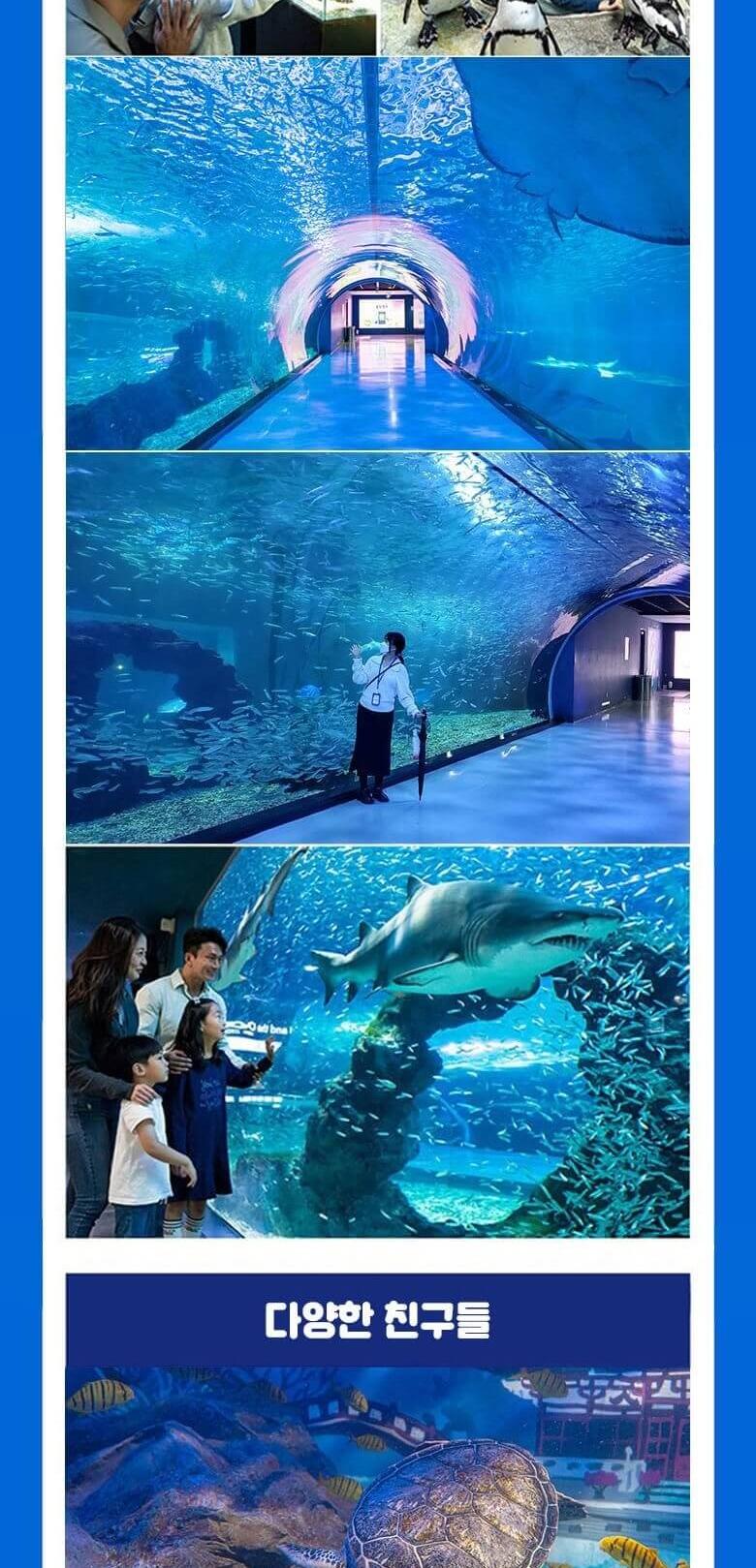 상품 상세 이미지 15