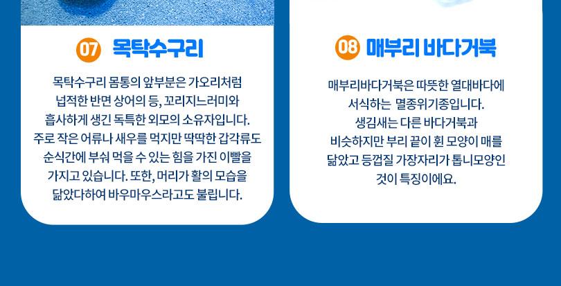 상품 상세 이미지 10