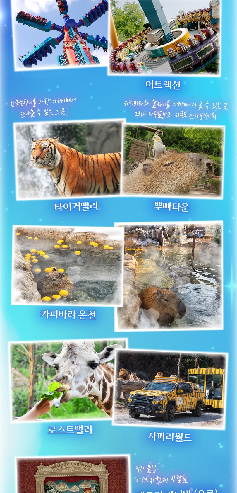 상품 상세 이미지 11